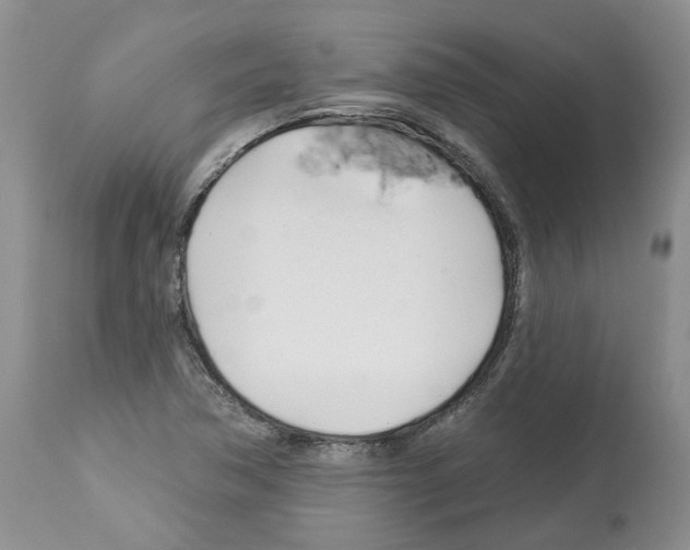 X0000112461362200909281009