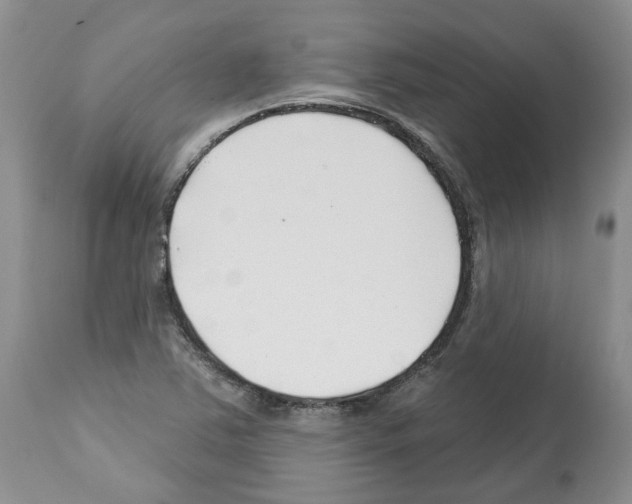 X0000112461363200909281009