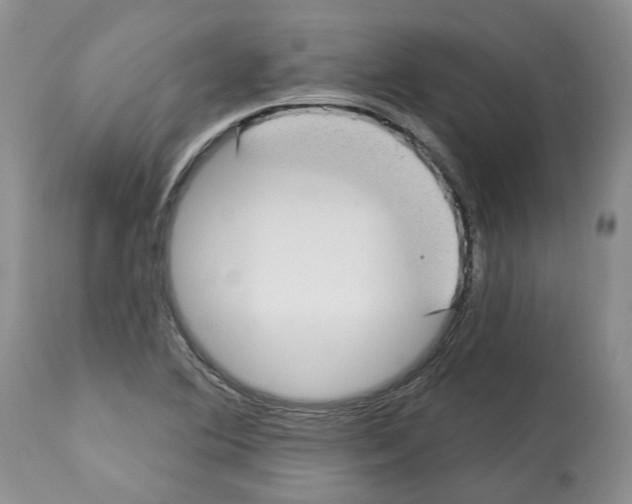 X0000112461364200909281009
