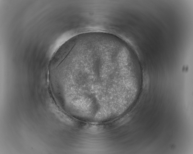 X0000112461365200909281009