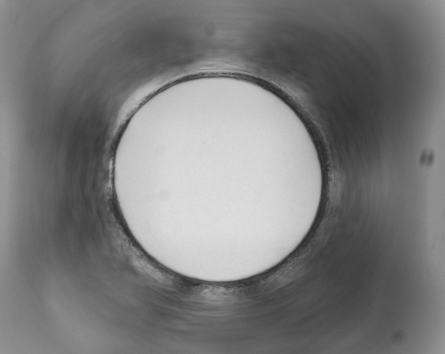 X0000112461366200909281009