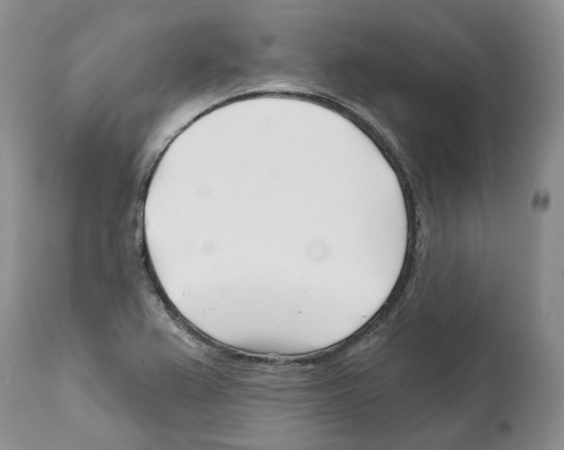 X0000112461367200909281009