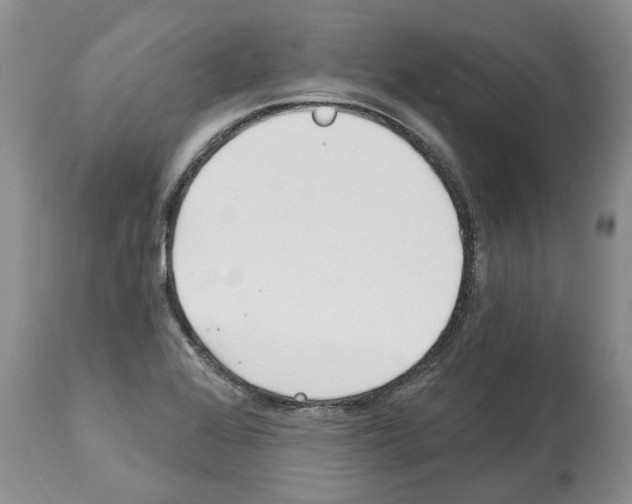 X0000112461368200909281009