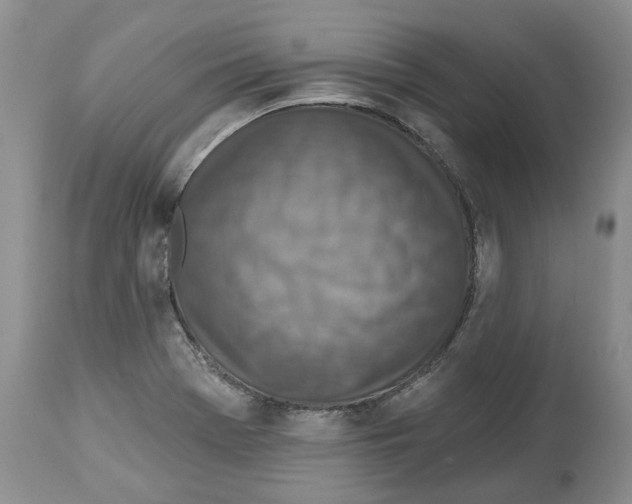 X0000112461369200909281009