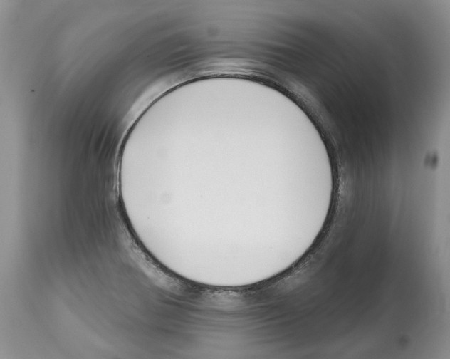 X0000112461370200909281009