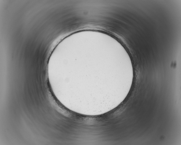 X0000112461371200909281009