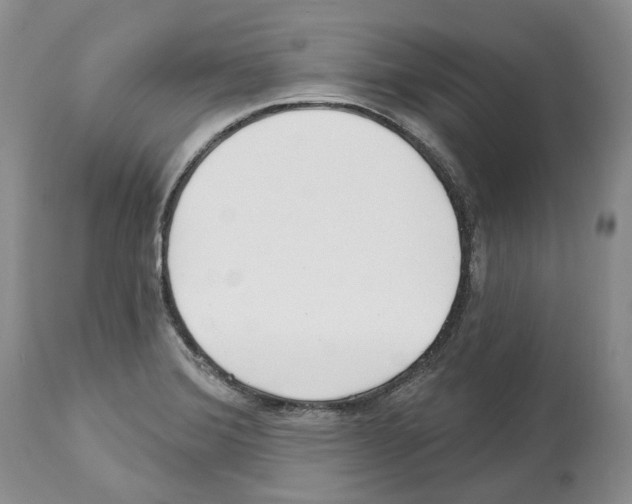 X0000112461372200909281009