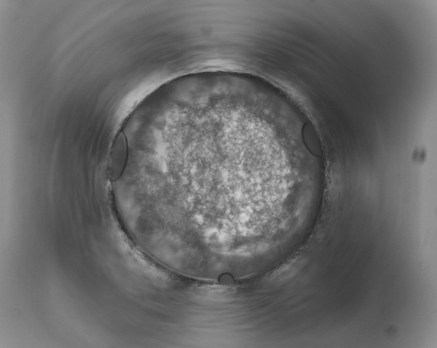 X0000112461373200909281009