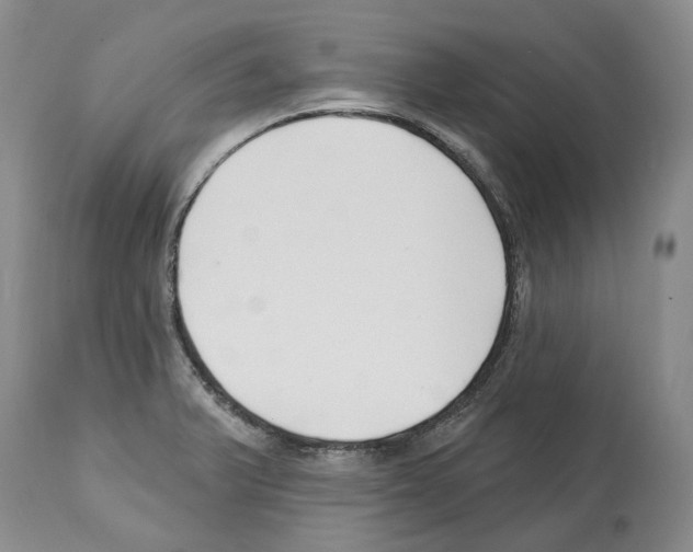 X0000112461375200909281009