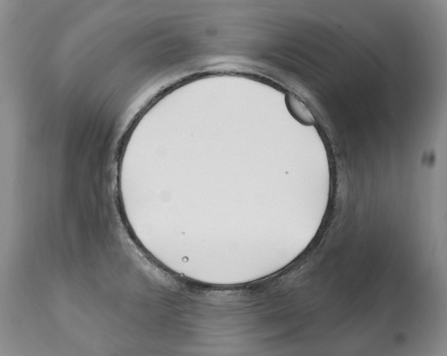 X0000112461376200909281009