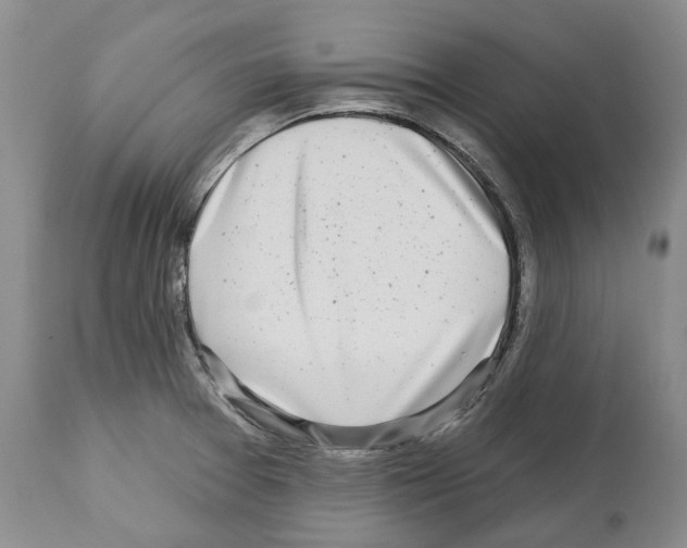 X0000112461377200909281009