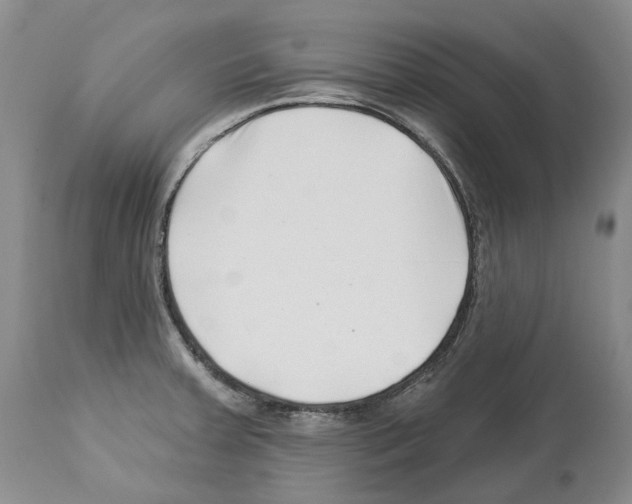 X0000112461379200909281009