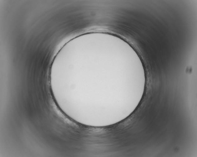 X0000112461382200909281009
