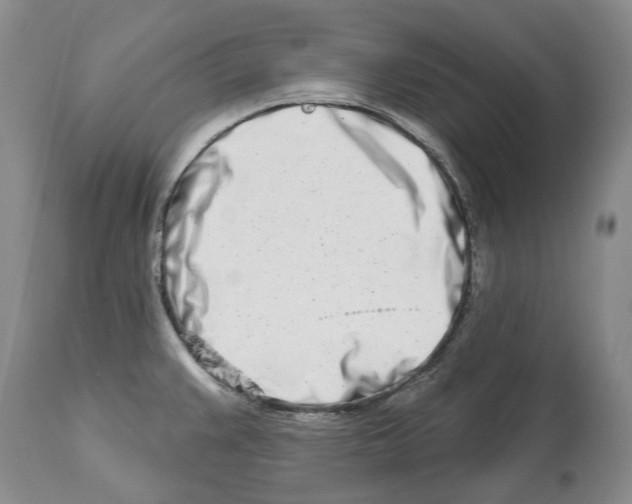 X0000112461383200909281009
