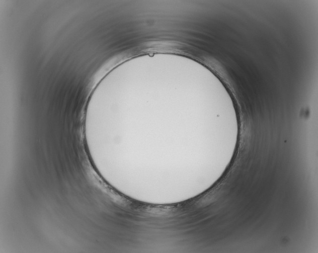 X0000112461386200909281009
