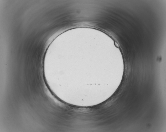 X0000112461387200909281009