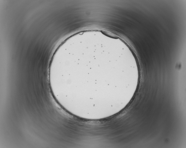 X0000112461388200909281009