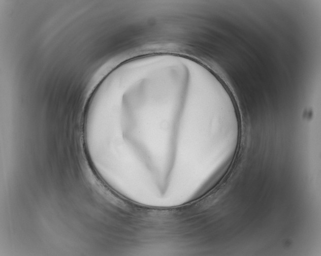 X0000112461389200909281009