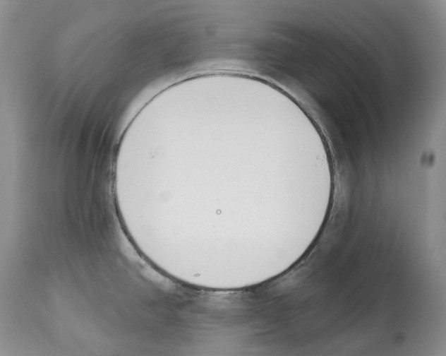 X0000112461390200909281009