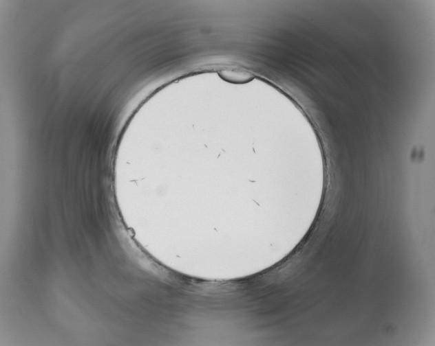 X0000112461392200909281009