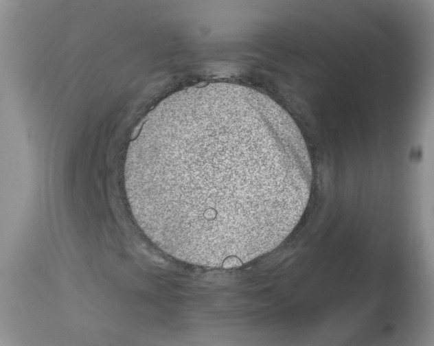 X0000112461393200909281008