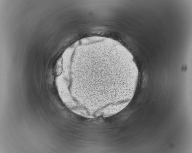 X0000112461394200909281008
