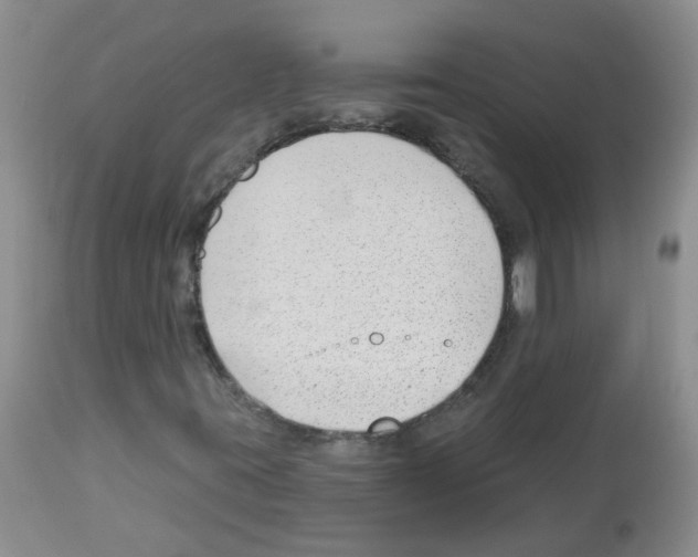 X0000112461395200909281008