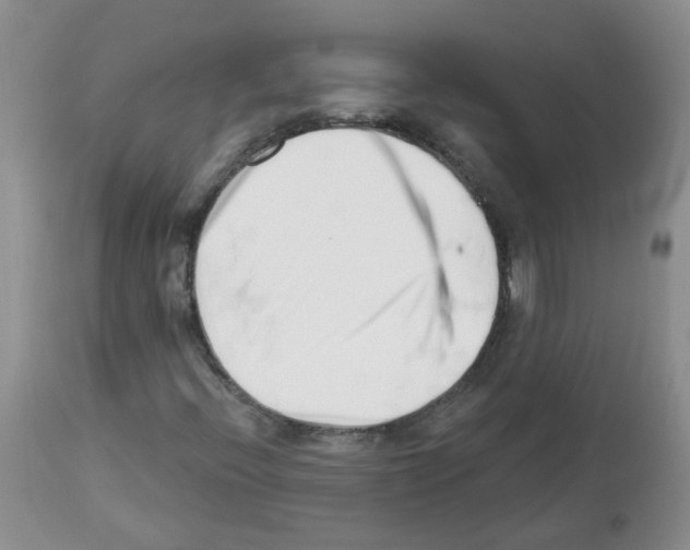 X0000112461396200909281008