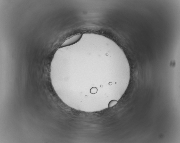 X0000112461397200909281008