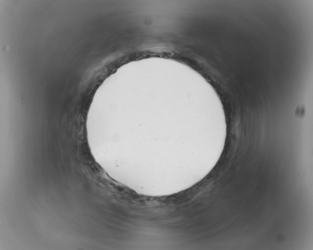 X0000112461398200909281008