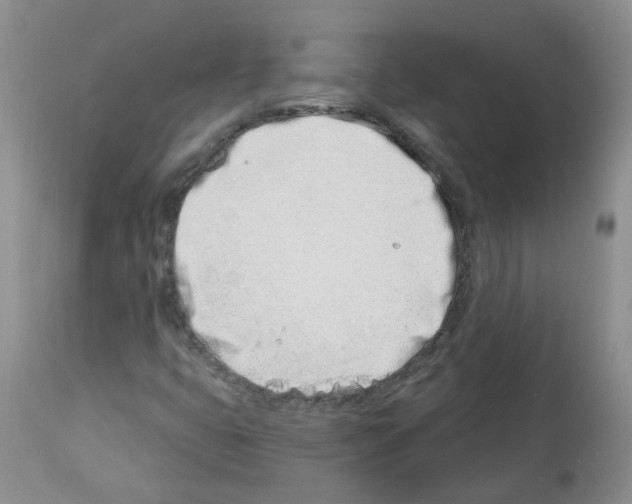 X0000112461399200909281008