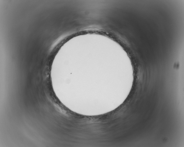 X0000112461400200909281008