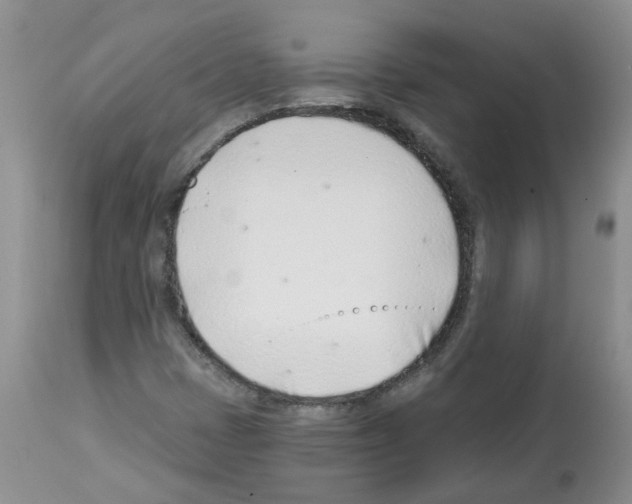 X0000112461401200909281008