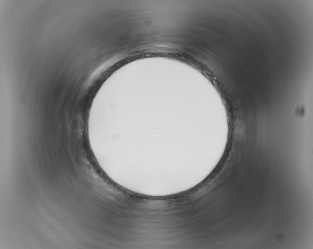 X0000112461402200909281009