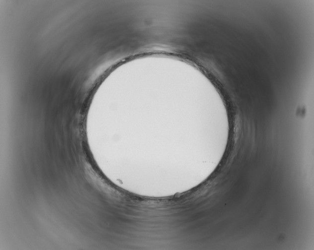 X0000112461404200909281009
