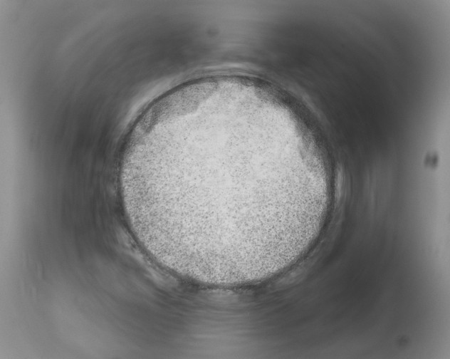X0000112461405200909281009