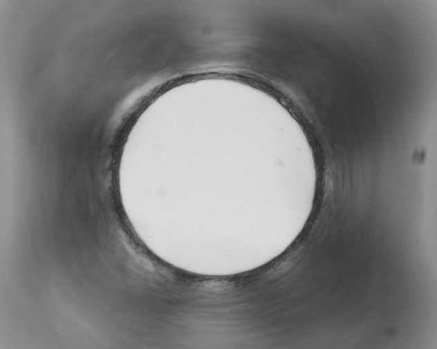 X0000112461406200909281009