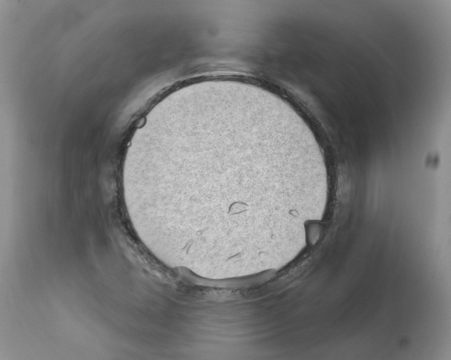 X0000112461407200909281009