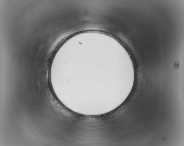 X0000112461408200909281009