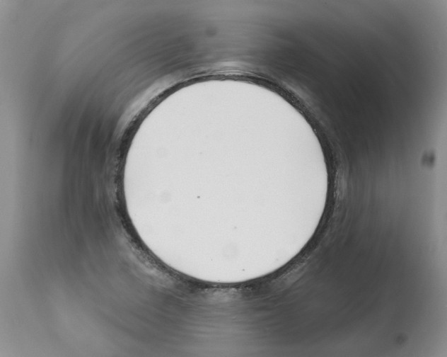 X0000112461410200909281009
