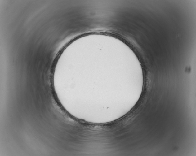 X0000112461412200909281009