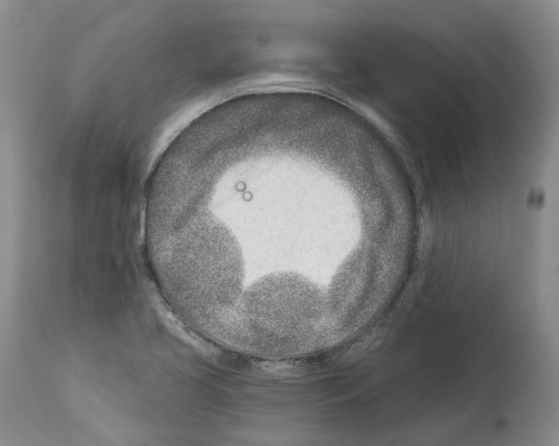X0000112461413200909281009