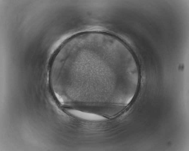X0000112461414200909281009