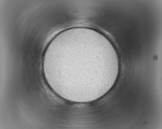 X0000112461415200909281009