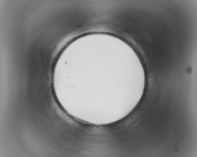 X0000112461416200909281009