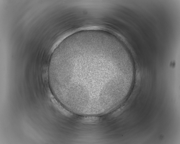 X0000112461417200909281009