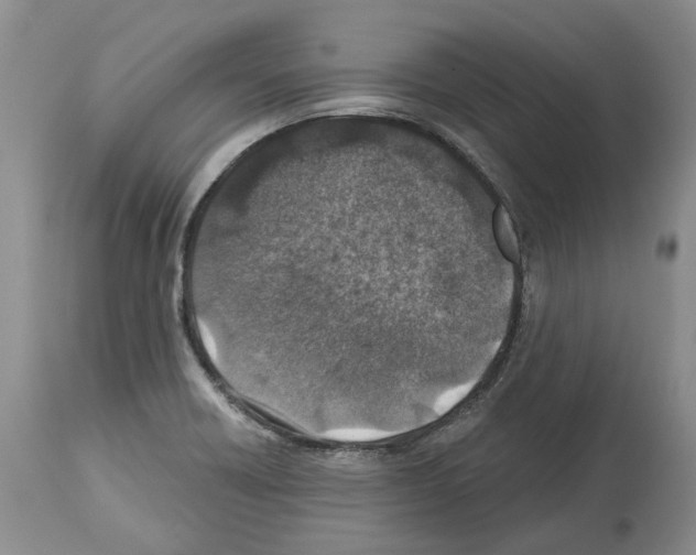 X0000112461418200909281009