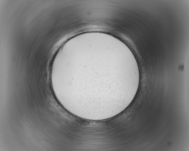 X0000112461419200909281009