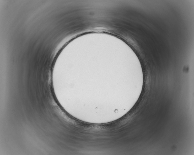 X0000112461420200909281009