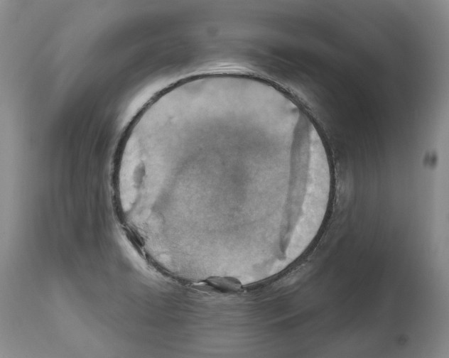 X0000112461422200909281009